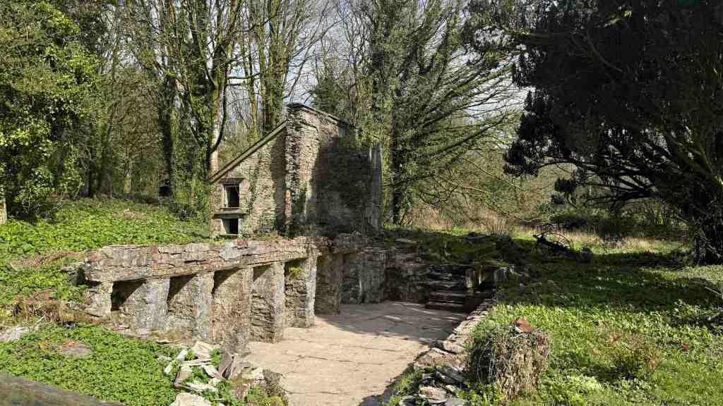 A Place to Grow Pinapples